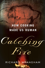 Catching Fire