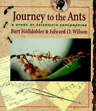 Journey To The Ants